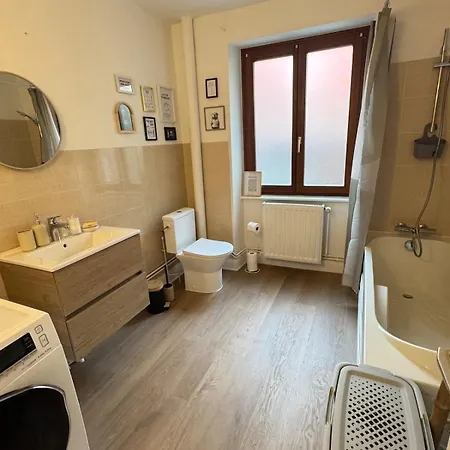 Nouveau - Munst Air A 20 Min De Colmar Apartmán Munster (Haut-Rhin)